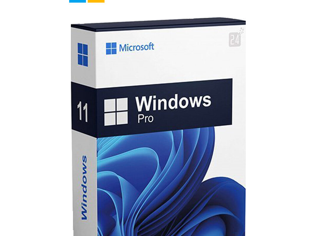 Microsoft Windows 11 Professional