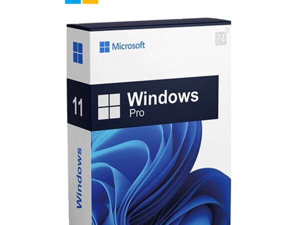 Microsoft Windows 11 Professional