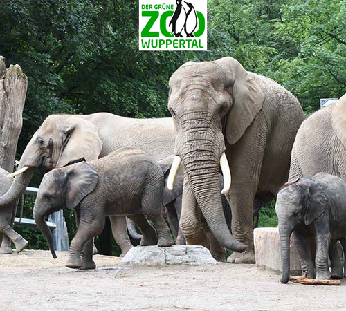 Tickets voor Der Grüne Zoo (2 p.)