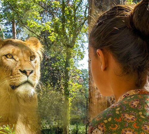 DierenPark Amersfoort