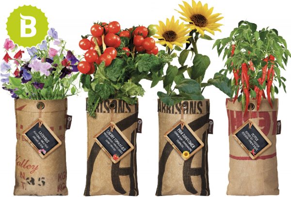 Hangbloemen of -moestuintje met korting