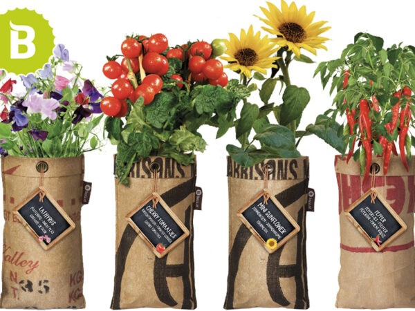 Hangbloemen of -moestuintje met korting