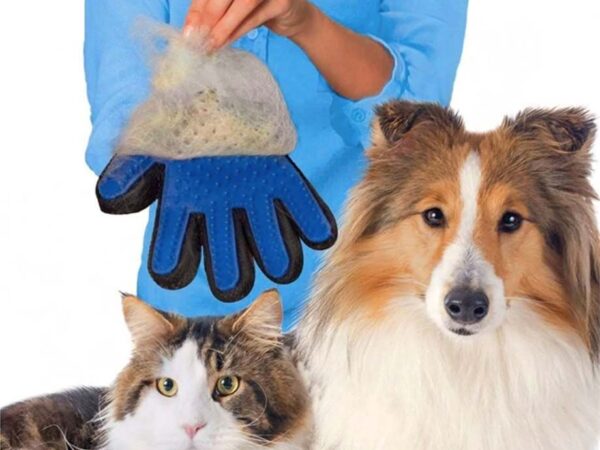 Hond en Kat Vacht Verzorgingshandschoen - Voor Gemakkelijk Borstelen! ...