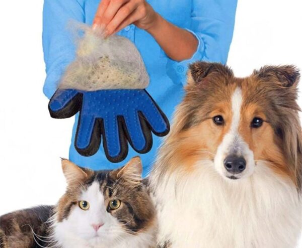 Hond en Kat Vacht Verzorgingshandschoen - Voor Gemakkelijk Borstelen! ...