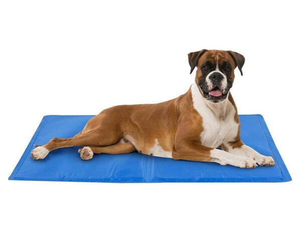Verkoelende Huisdieren Gel Mat - Het Favoriete Zomerplekje Van Je Huisdier! ...