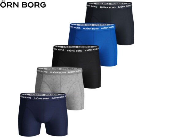 Bjorn Borg Essential 5-pack boxershorts multi
