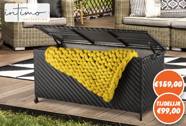 Wicker tuinkussenbox nu in de aanbieding