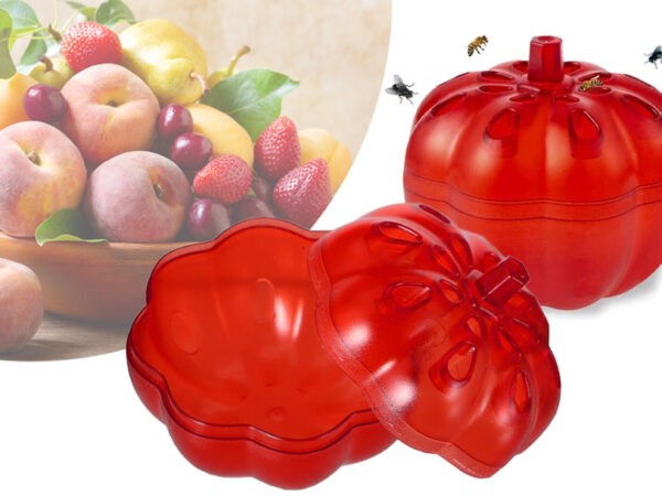 Fruitvliegjesval in de aanbieding