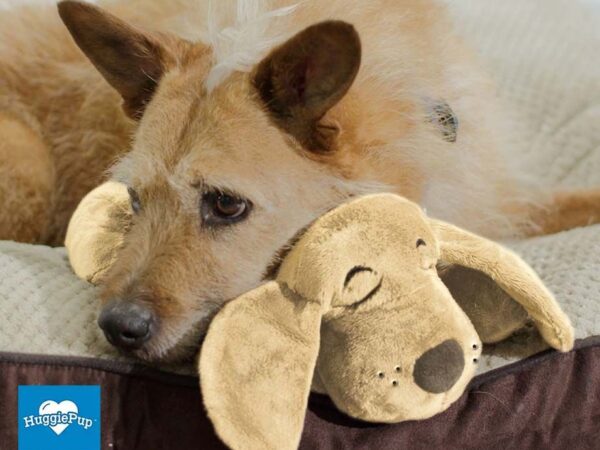 Huggie Pup Hondenknuffel - Met Hartslag Om Honden Rustig Te Krijgen! ...