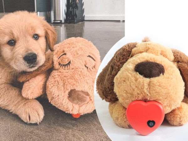 Hartslag knuffel hond - sale