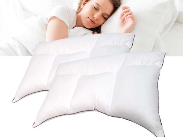 Quattro 4 Kamer Kussen - Vandaag 1+1 GRATIS! ...