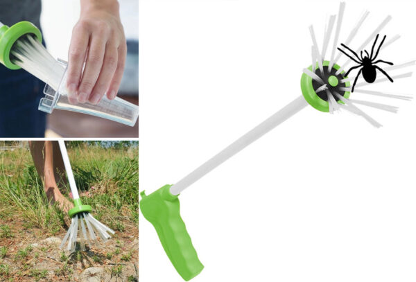Diervriendelijke spinnenvanger