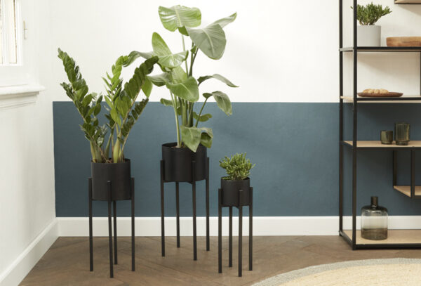 Plantenbakset Lotus 3-delig