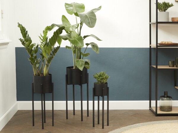 Plantenbakset Lotus 3-delig