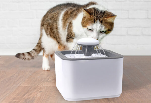 Waterfontein katten en honden met korting