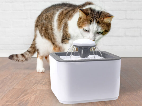 Waterfontein katten en honden met korting