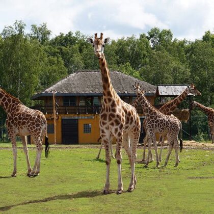 Safaripark Monde Sauvage