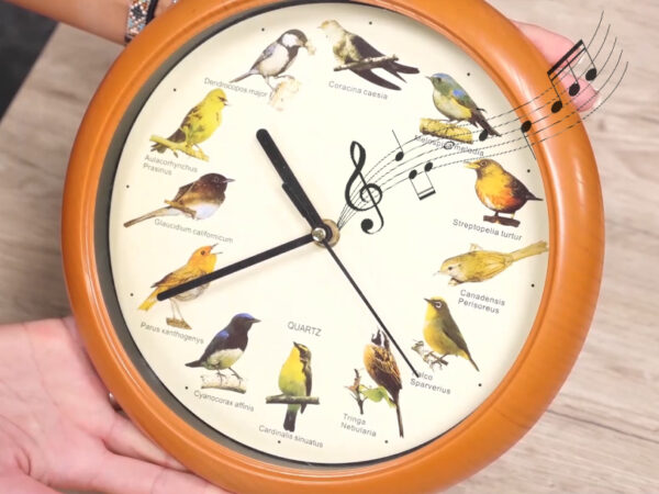 Wandklok met vogelgeluiden in de sale