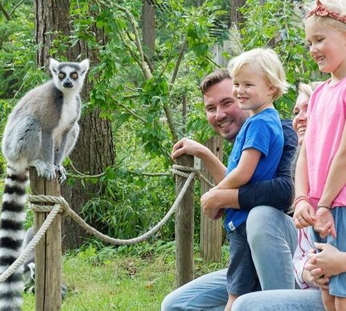 Een dag aapjes kijken in de Apenheul