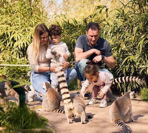 Dierenrijk tickets