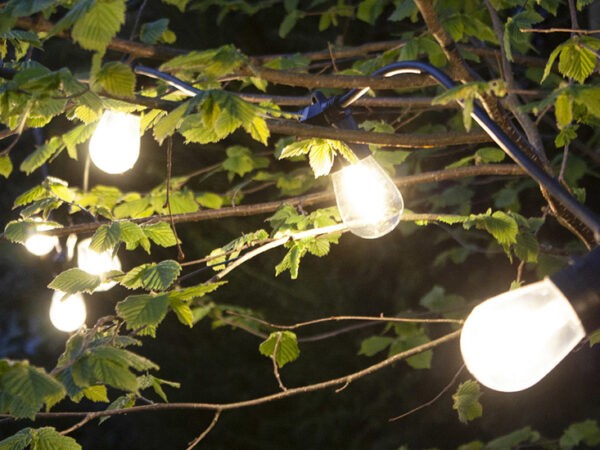 Dreamled Decoratieve verlichting - 10 LED lampen
