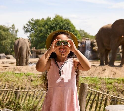 Safaripark Beekse Bergen tickets
