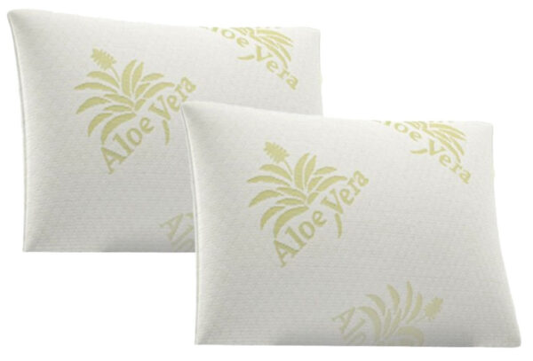 Set van 2 Aloë Vera kussens