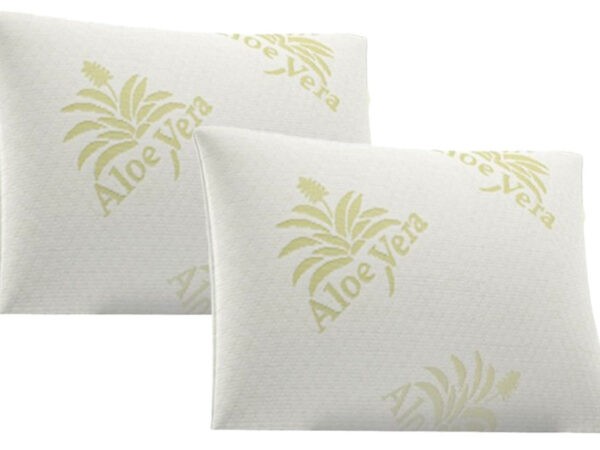 Set van 2 Aloë Vera kussens