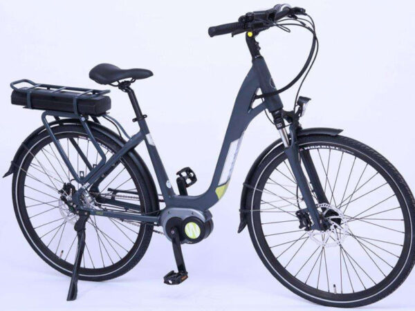 Elektrische fietsen van WEE