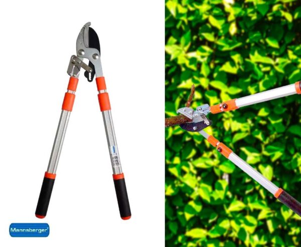 Mannsberger Telescopische Tuinschaar - Te Verlengen Tot 1 Meter Lang! ...