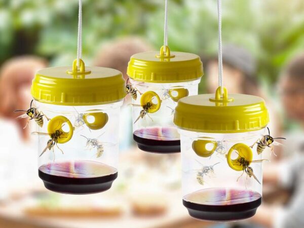 3-Pack Wespenvangers - Rustig En Veilig Buiten Zitten! ...
