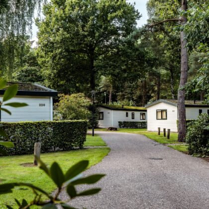 Roompot Bospark De Schaapskooi