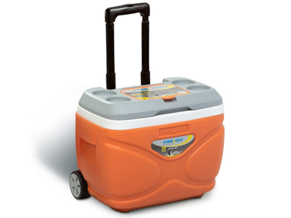 Koelbox op wielen