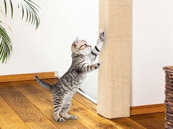 Hi Katten krabmat - 80x28x1 cm - Zandkleur