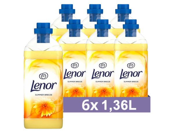 6 x 1