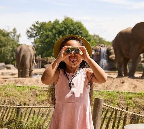 Safaripark Beekse Bergen tickets