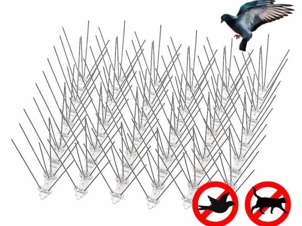 Vogelpinnen Voor Schone Tuin En Eigendommen - Vandaag 10+10 GRATIS! ...