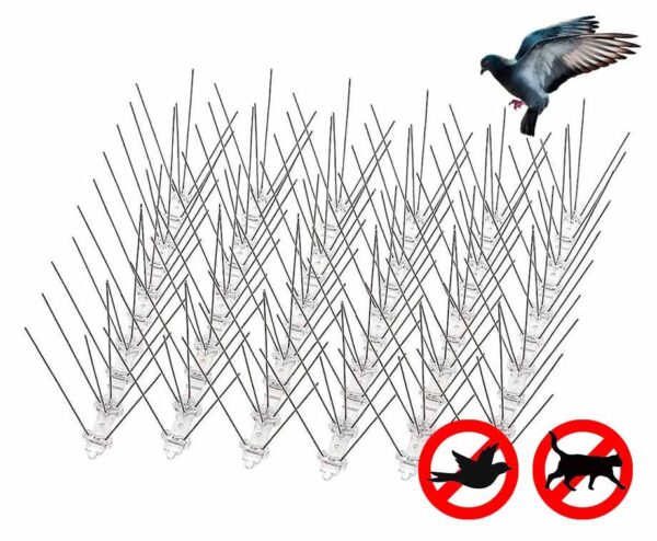 Vogelpinnen Voor Schone Tuin En Eigendommen - Vandaag 10+10 GRATIS! ...