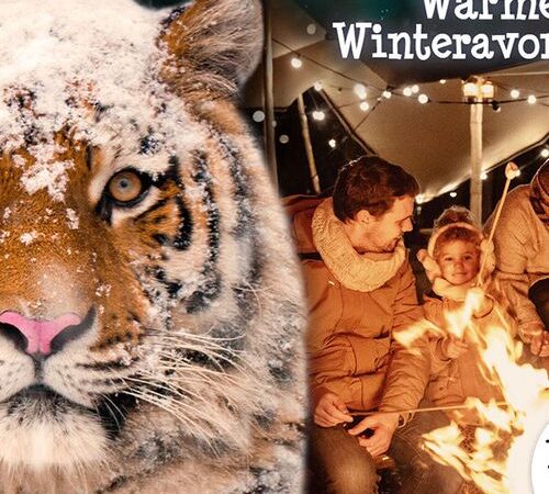 DierenPark Amersfoort entreetickets (2 p.)