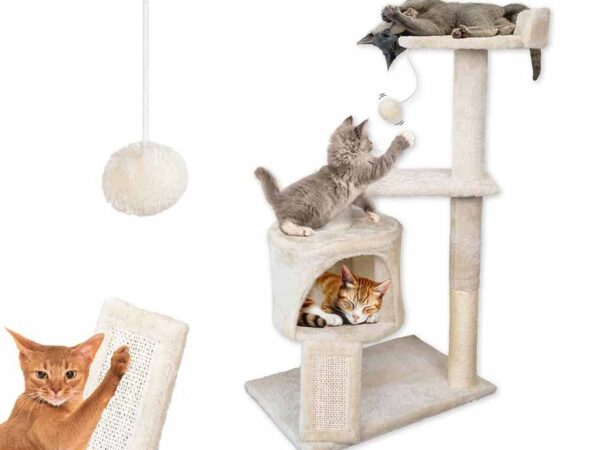 XL Kattenhotel - Met Kattenmand En Speeltjes! ...