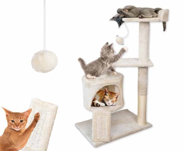 XL Kattenhotel - Met Kattenmand En Speeltjes! ...