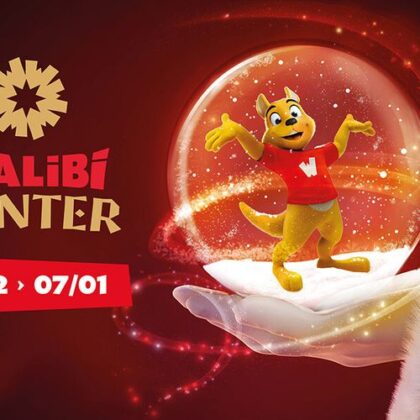 Walibi Winter Belgium entreeticket