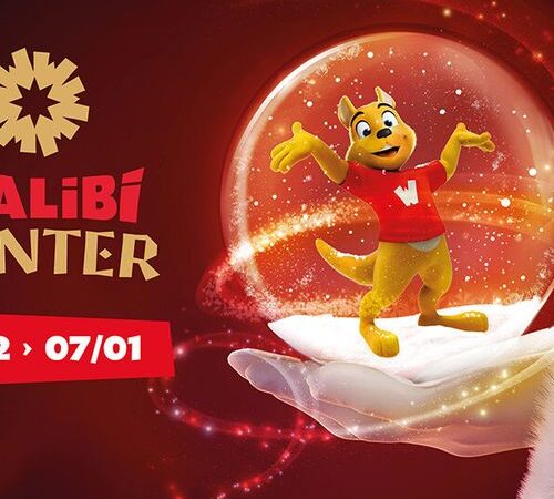 Walibi Winter Belgium entreeticket