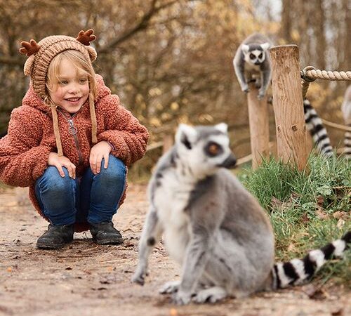 AquaZoo Leeuwarden tickets