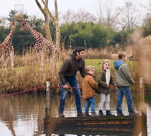 ZooParc Overloon tickets (2 p.)
