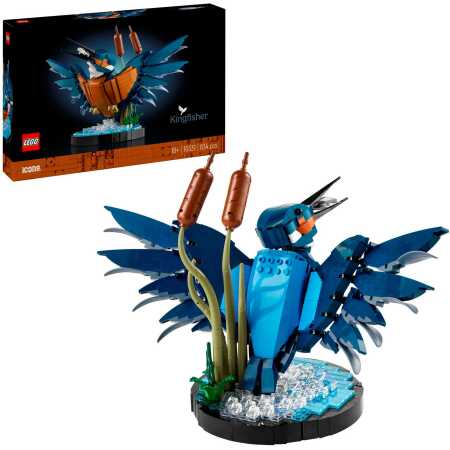 Icons - IJsvogel