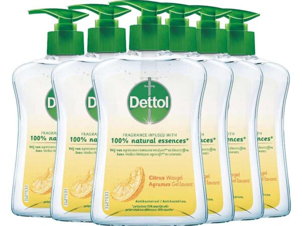 6-Pack Dettol Citrus Handzeep - Voor Dagelijks Gebruik! ...