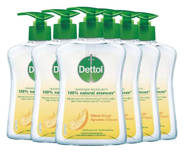 6-Pack Dettol Citrus Handzeep - Voor Dagelijks Gebruik! ...