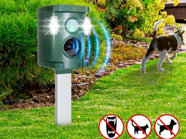 Dierenverjager Met Sensor - Diervriendelijk Verjagen! ...