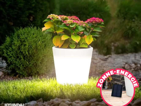 Verlichte Plantenpot Met Solar - Met Automatische Bewatering! ...